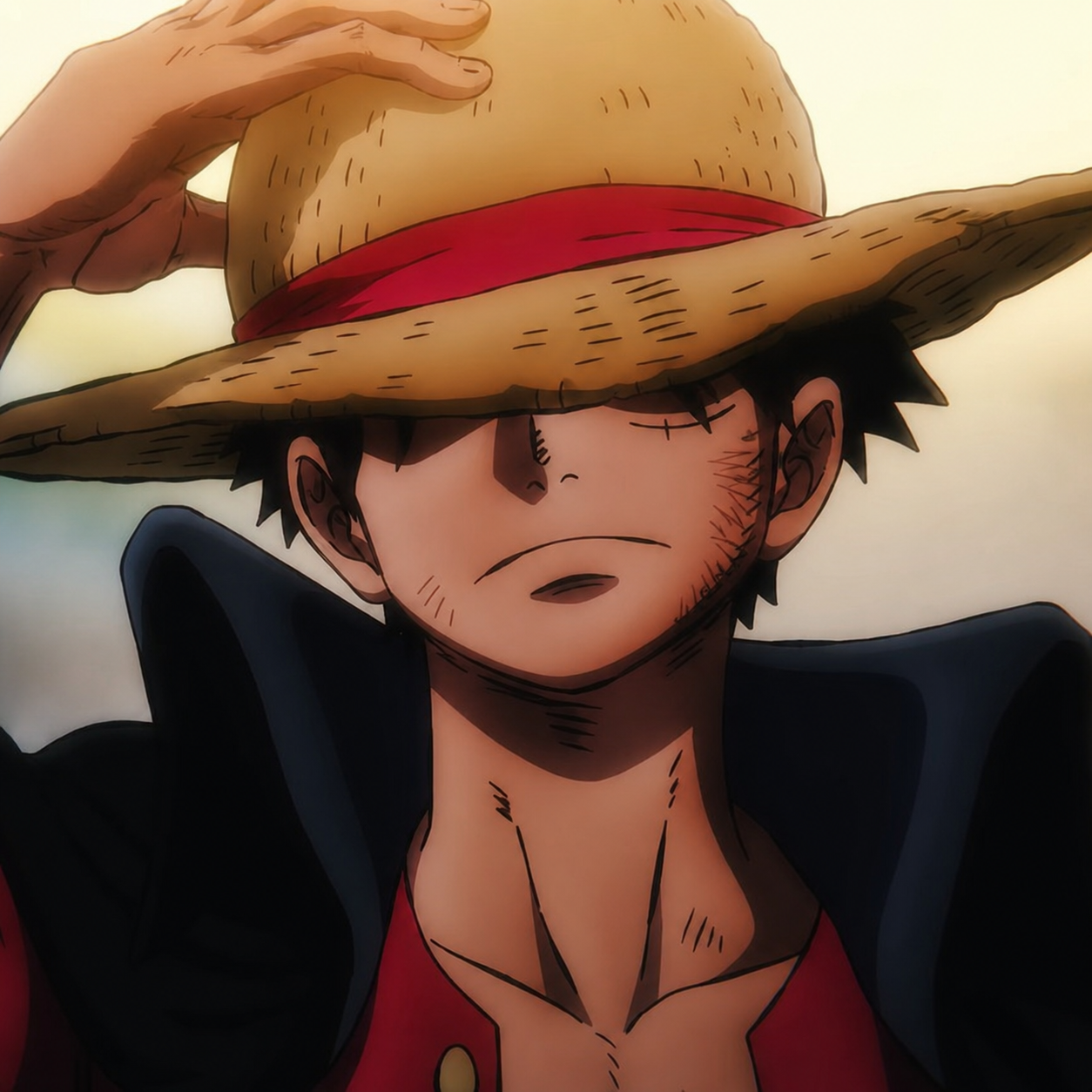 LuffyWatch